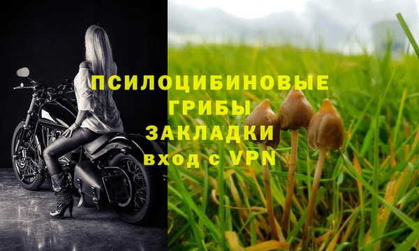 Альфа ПВП Алзамай