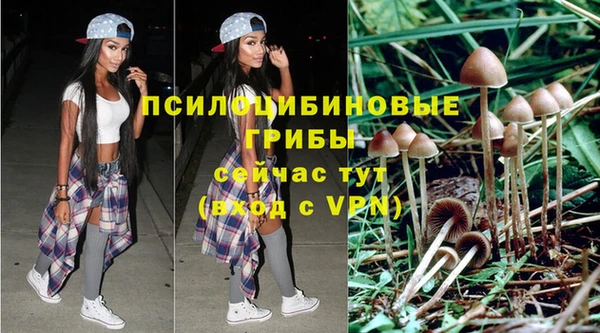 Альфа ПВП Алзамай
