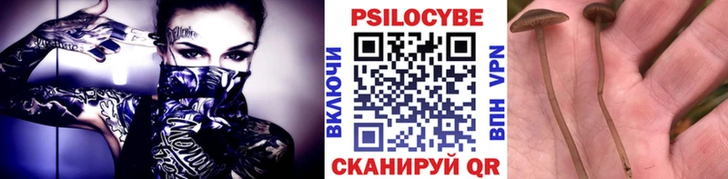 даркнет сайт Муром Галлюциногенные грибы ЛСД